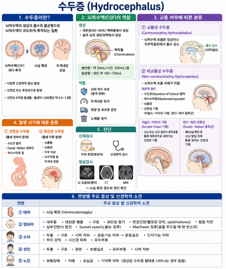 01. 수두증