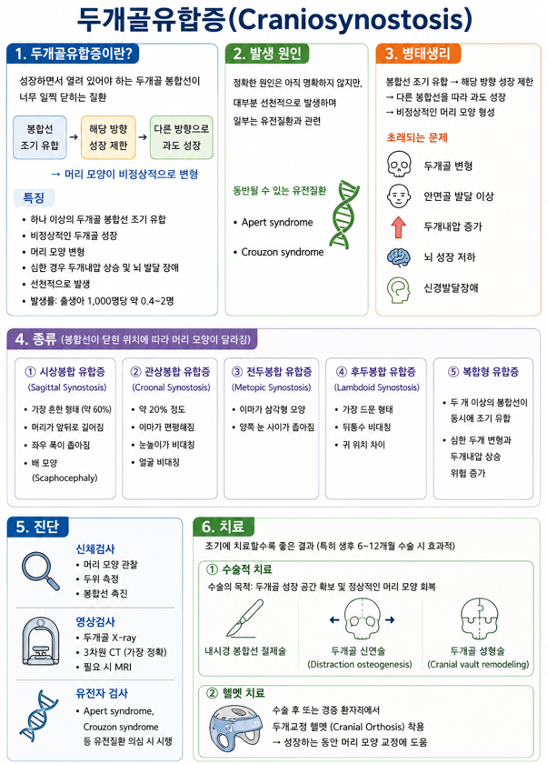 03. 두개골유합증