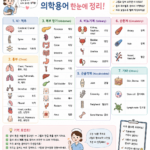 03. 인체구조