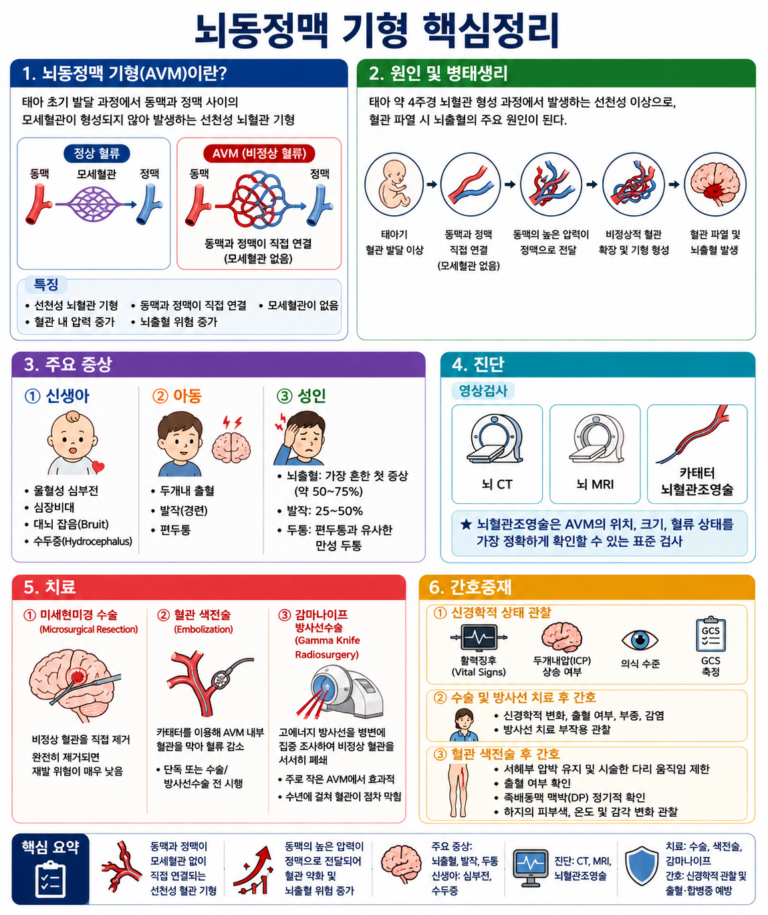 04. 뇌동정맥기형