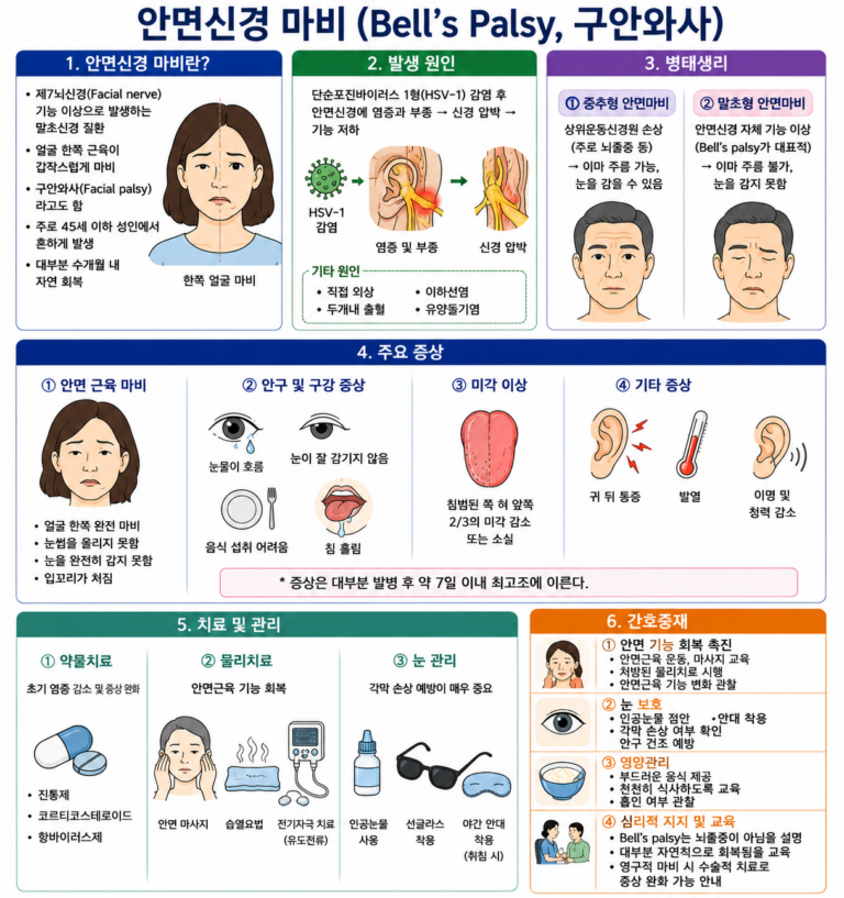 28. 안면신경 마비