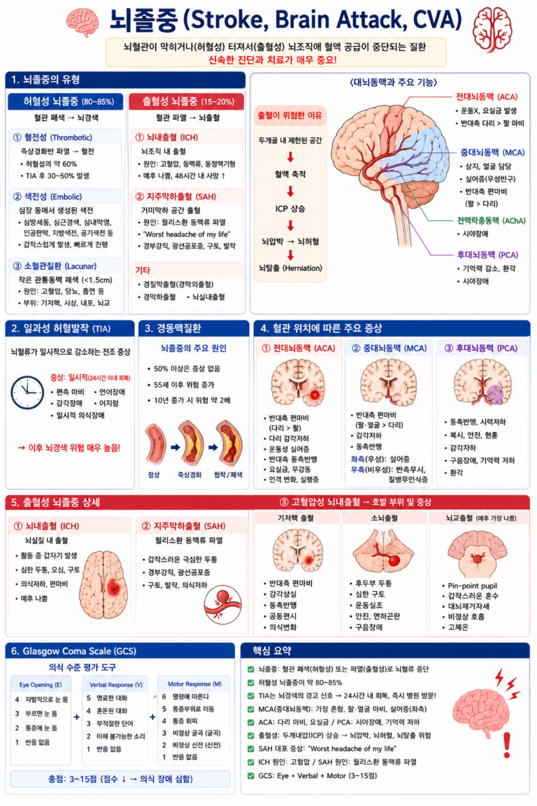 뇌졸중