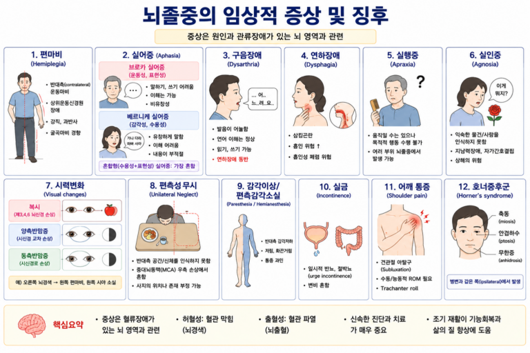 뇌졸중의 임상적 증상 및 징후