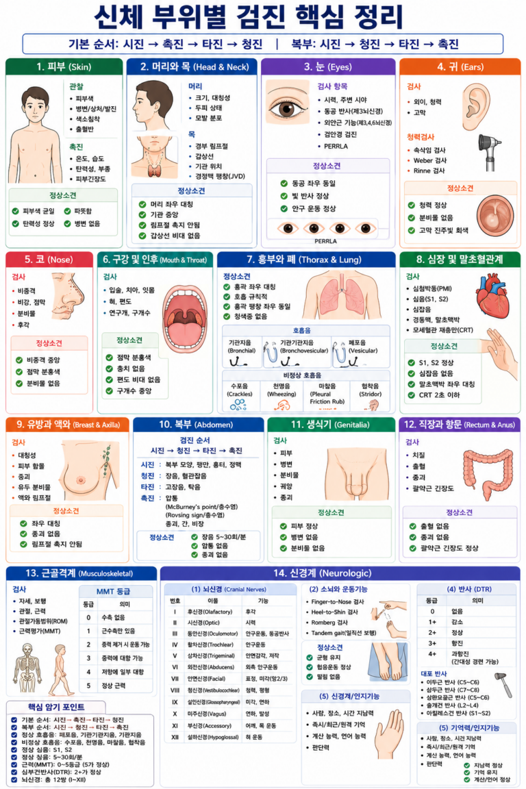 신체 부위별 검진
