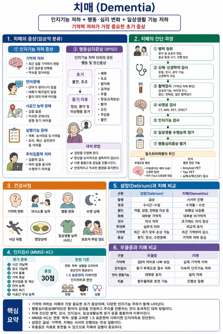 치매 증상